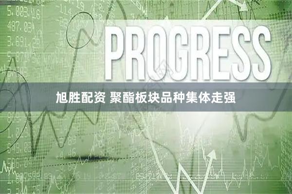 旭胜配资 聚酯板块品种集体走强
