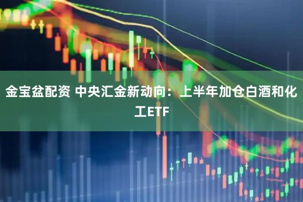 金宝盆配资 中央汇金新动向：上半年加仓白酒和化工ETF