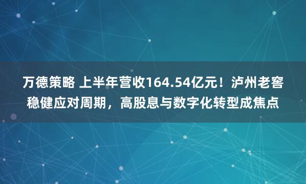 万德策略 上半年营收164.54亿元！泸州老窖稳健应对周期，高股息与数字化转型成焦点