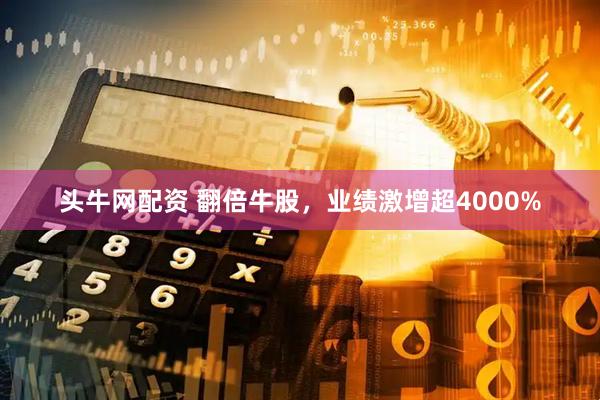 头牛网配资 翻倍牛股，业绩激增超4000%
