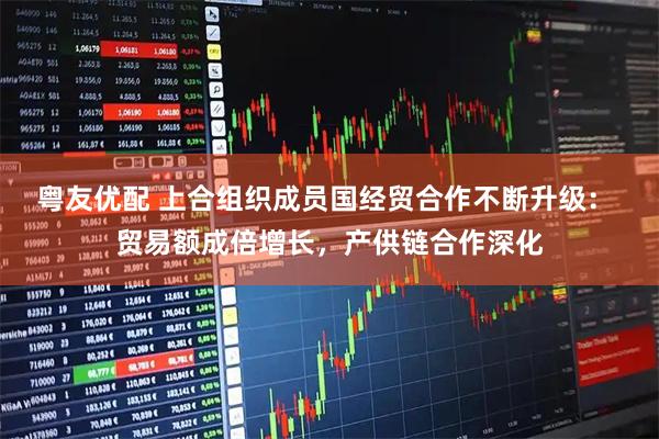 粤友优配 上合组织成员国经贸合作不断升级： 贸易额成倍增长，产供链合作深化