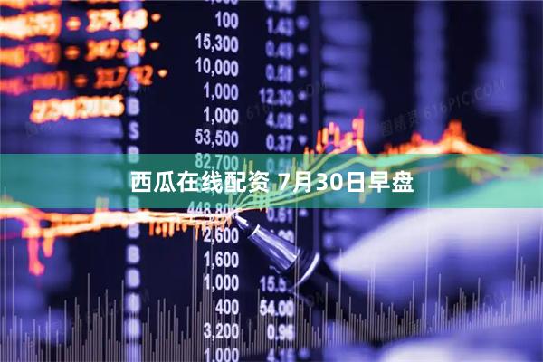 西瓜在线配资 7月30日早盘