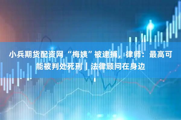 小兵期货配资网 “梅姨”被逮捕，律师：最高可能被判处死刑｜法律顾问在身边